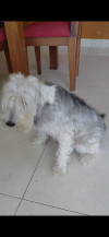 Foto de Max en Sincelejo Sucre #4