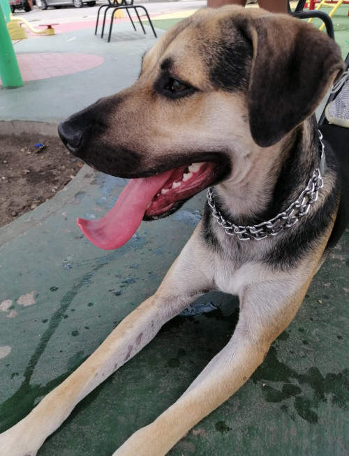 Odín