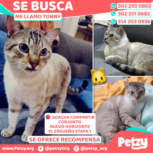 Tonny