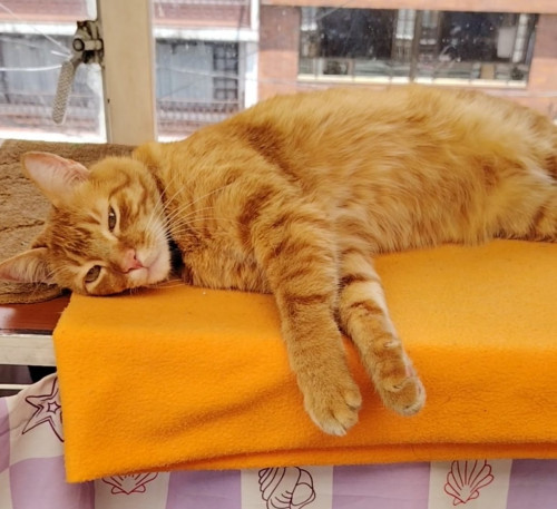 Max