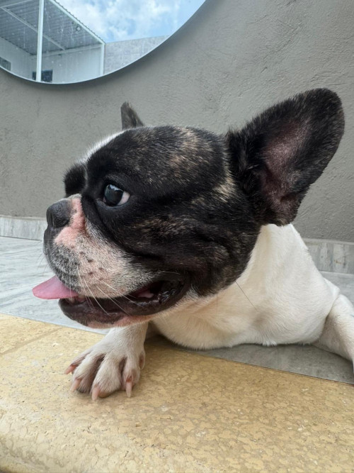 Max