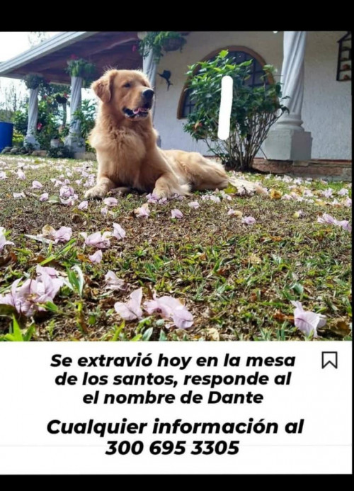 Dante