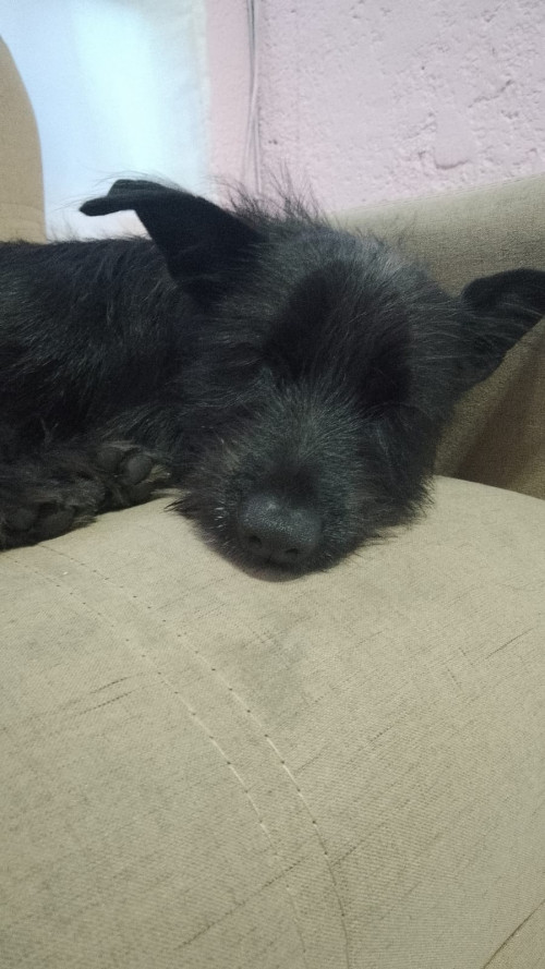 Luna