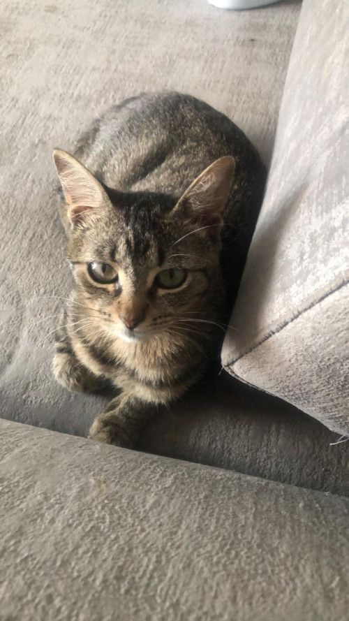 Osiris