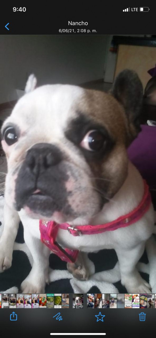 Samantha