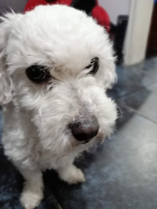 Samy
