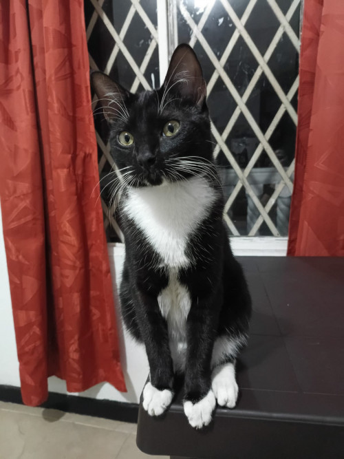 Lili