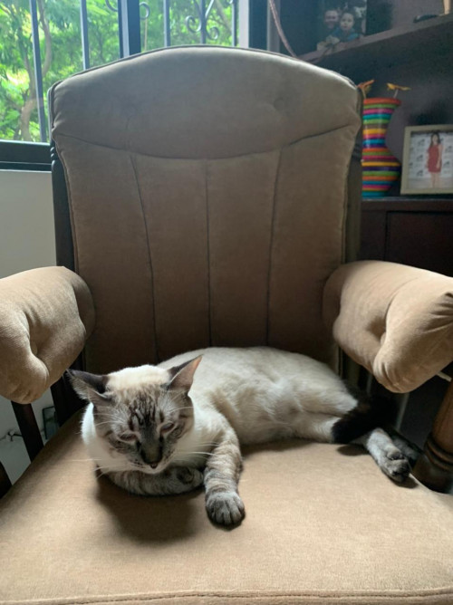 Coco