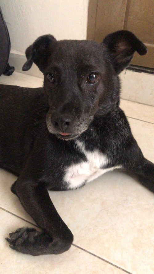 Kumba