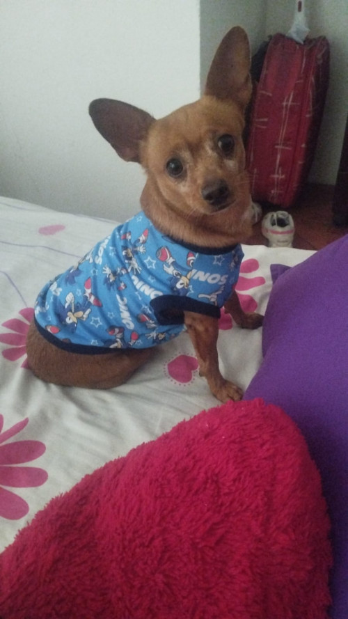 Theo