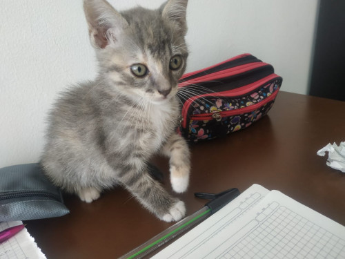 Luna