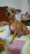 Foto de Mona en Villavicencio Meta #2