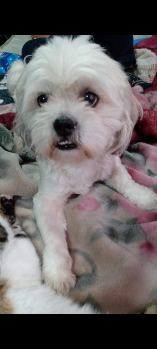 Coco