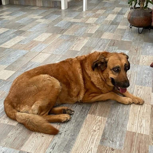 Kayna
