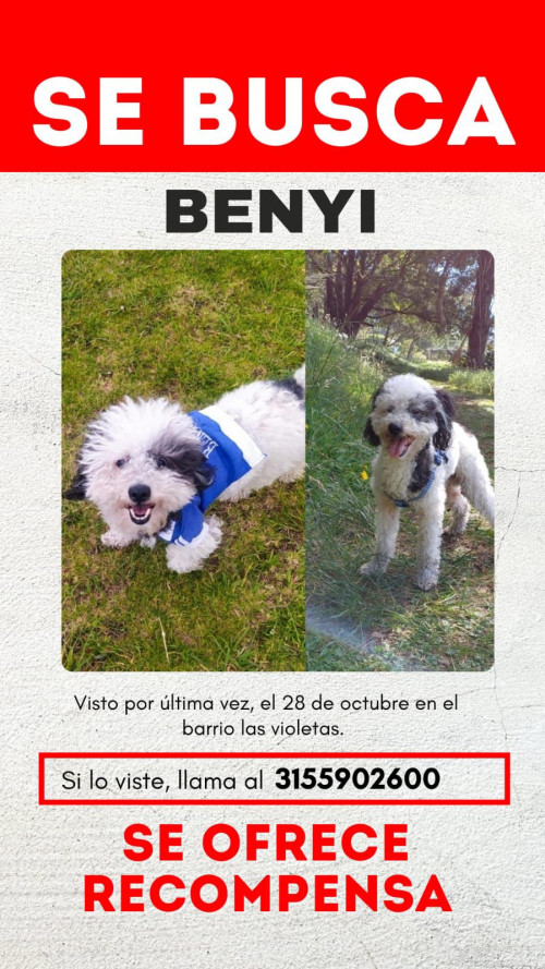 Benyi