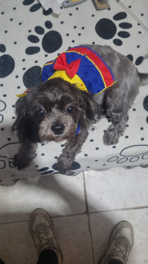 Muñeca