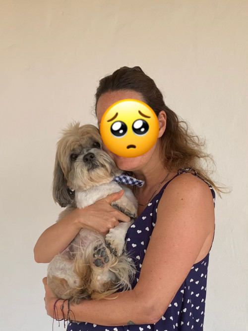 Otto