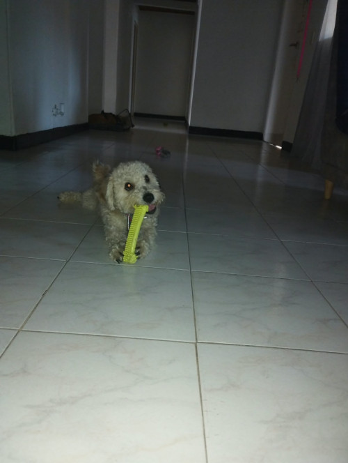 Max