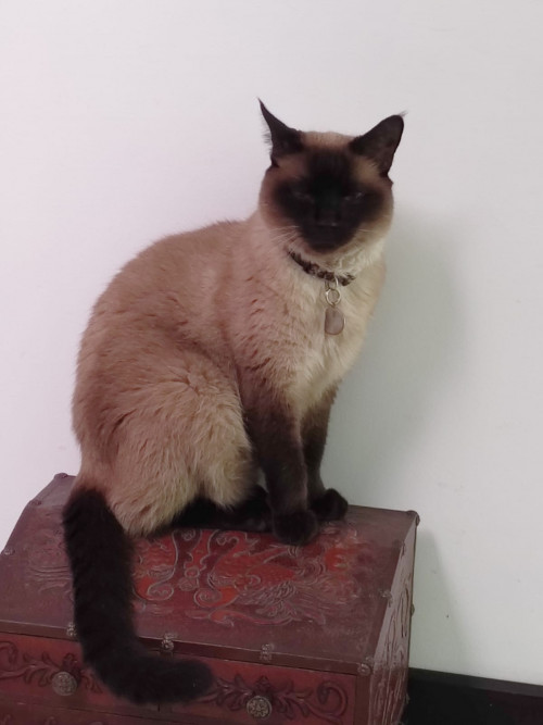 Oliver