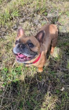 Foto de Max en Pasto Nariño #0