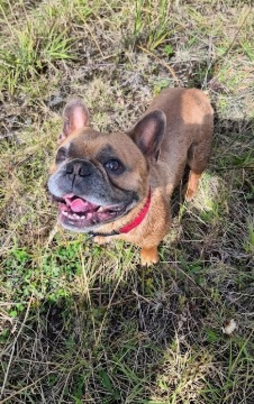 Max