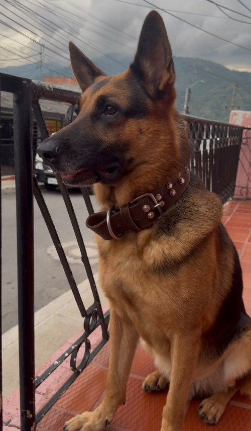 Tayson