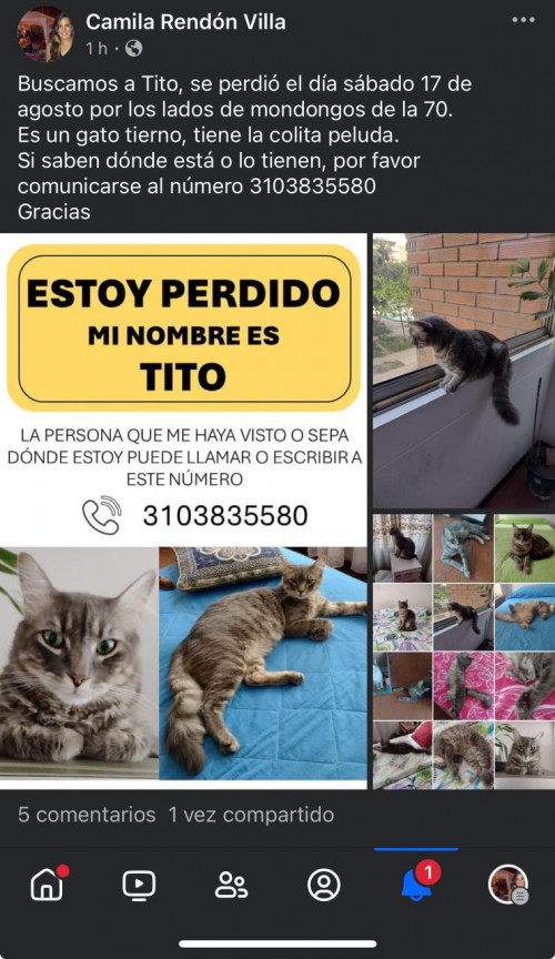 Tito