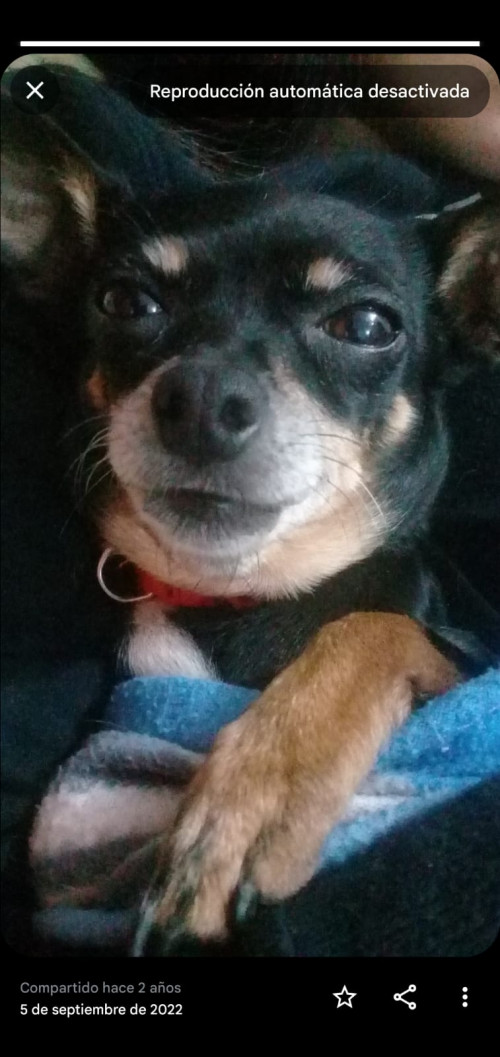 Betty