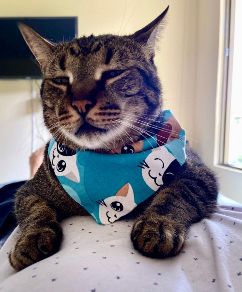 Felix