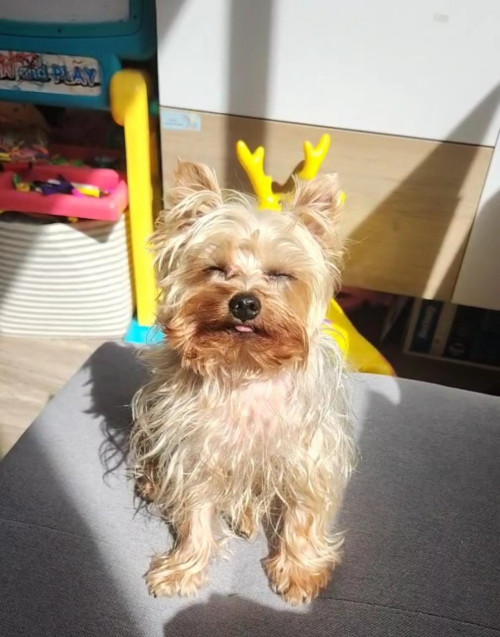 Milo
