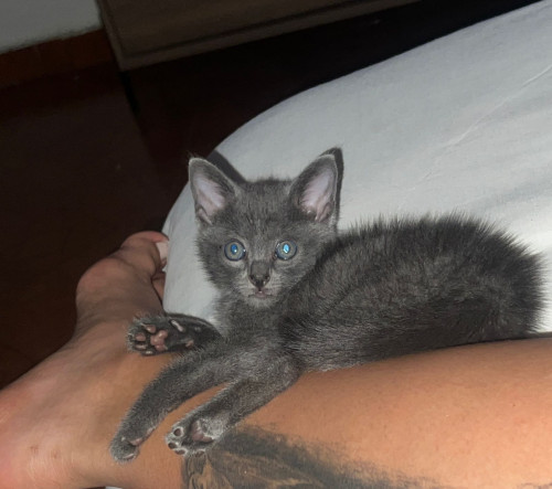 Ramón