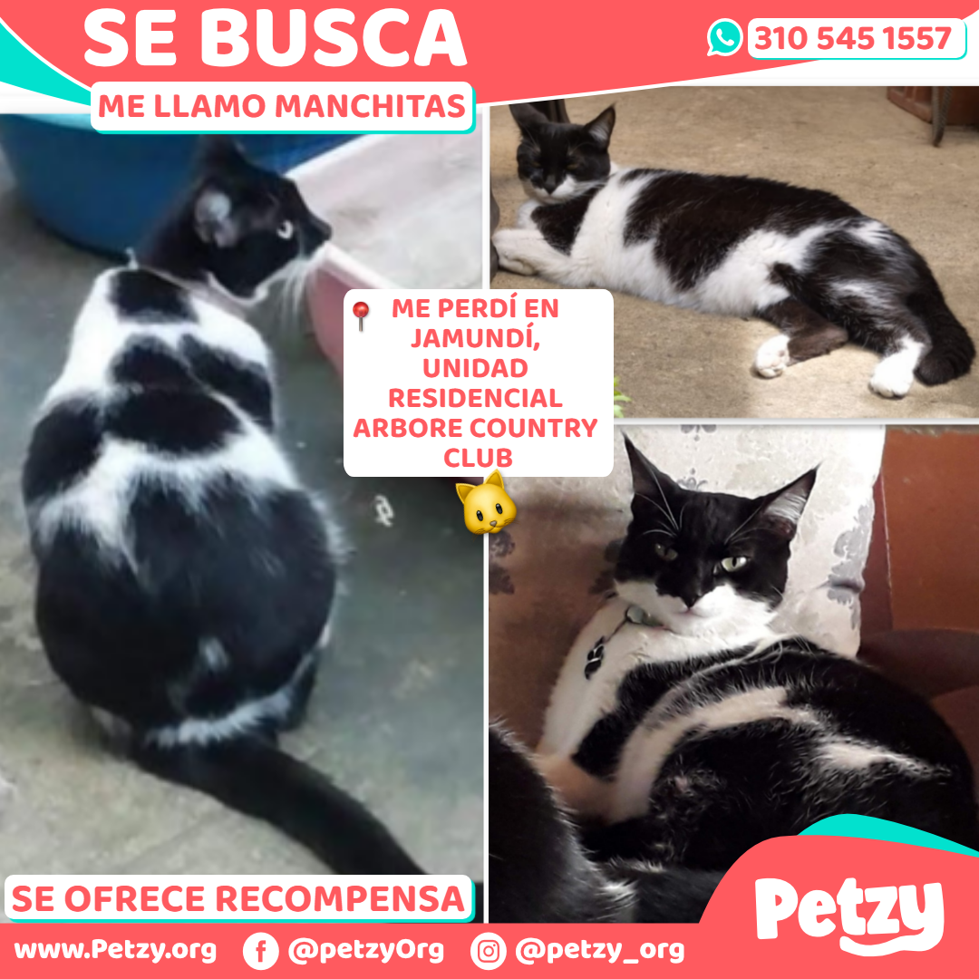 Manchitas