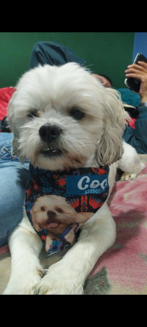 Coco