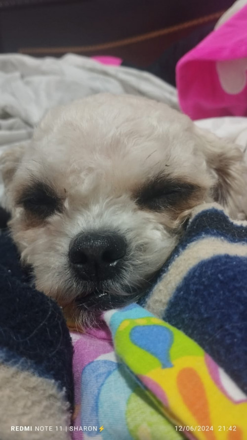 Lupita