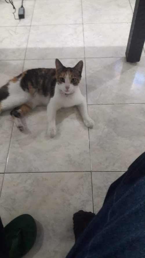 Princesa