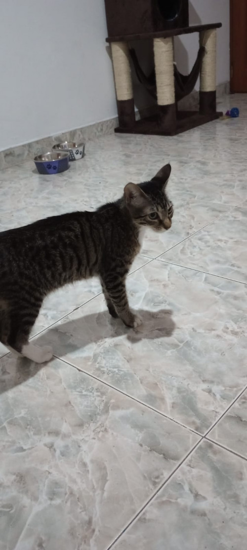 Oliver