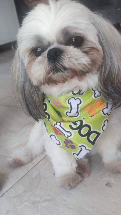 Toby