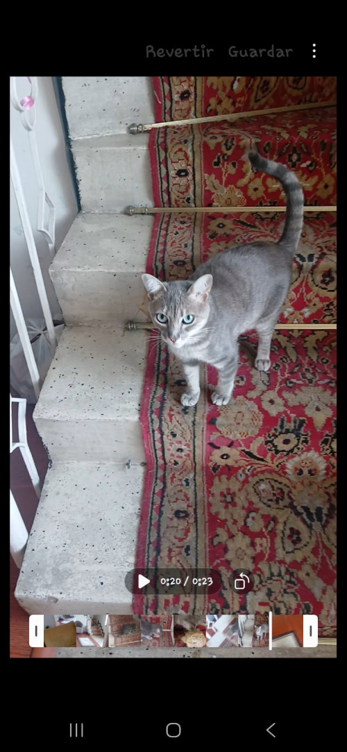 Mili