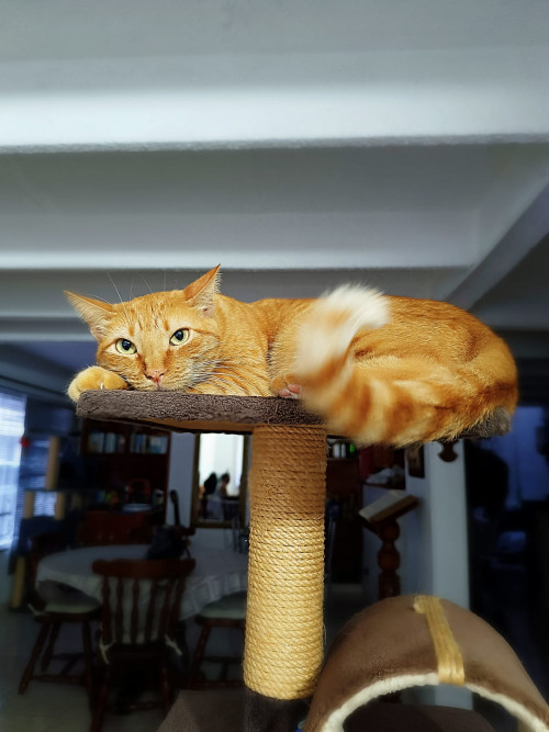 Sabrina
