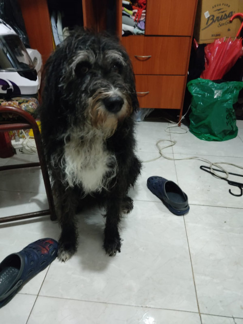 Luna