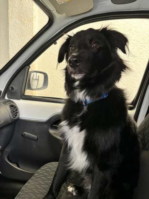 Milo