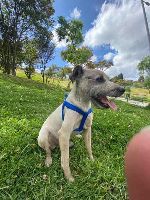 Max