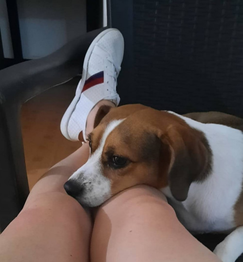 Igor