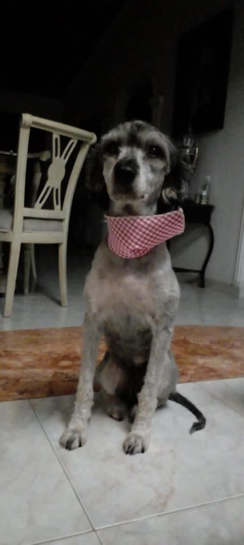 Fiona