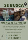 Foto de Martina en Cogua Cundinamarca #1