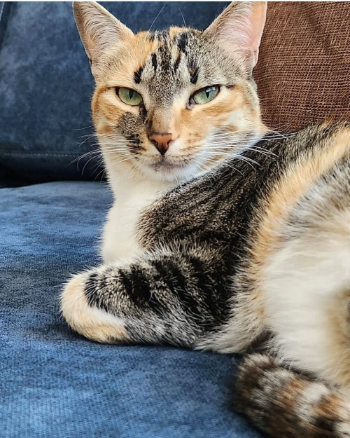 Luna