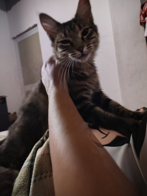 Charlie