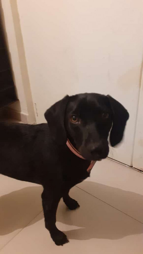 Lupita