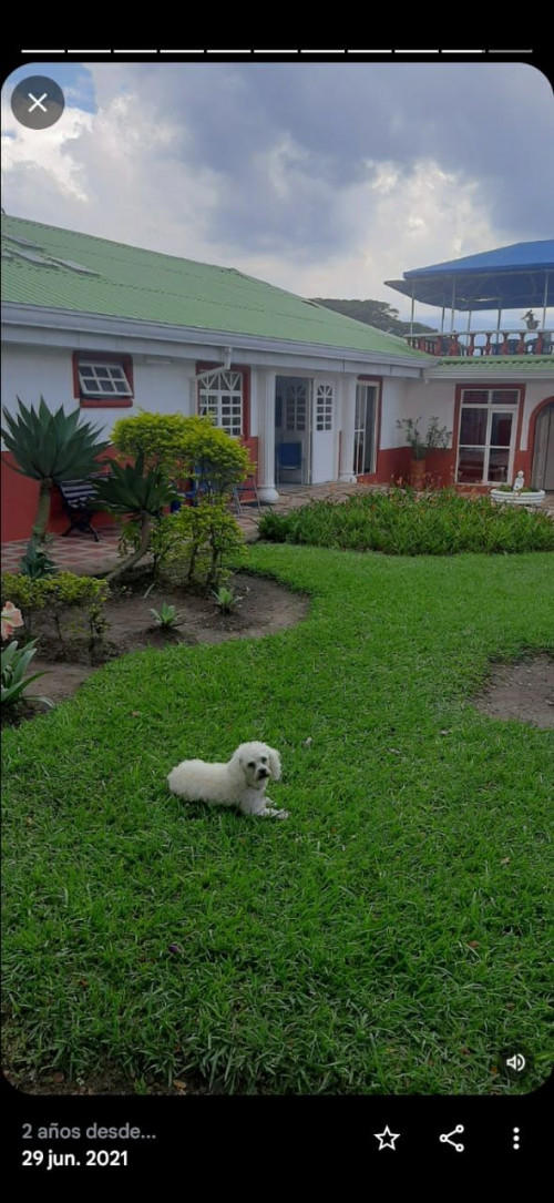 Tobby