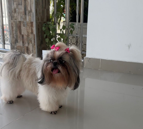 Luna